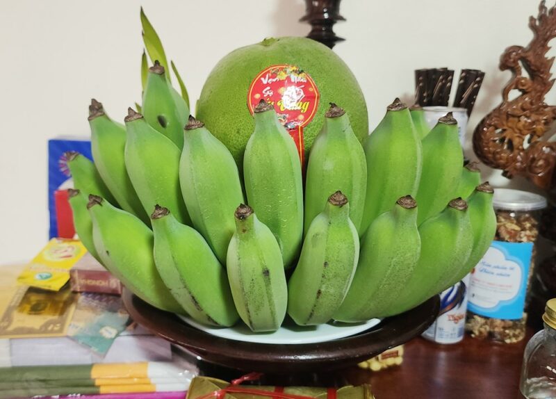Chuối xanh bày trong mâm ngũ quả ngày Tết truyền thống