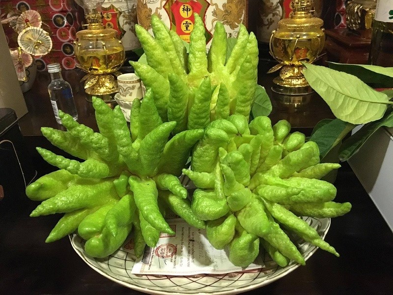 Phật thủ đặt trung tâm mâm ngũ quả trên bàn thờ