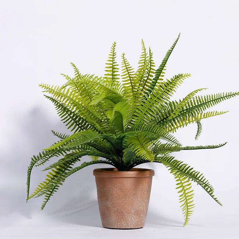 Các loại cây xanh lọc không khí tốt nhất cho phòng ngủ mà không gây hại vào ban đêm.