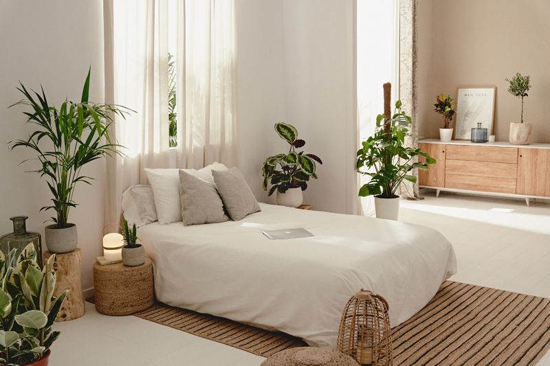 Cây xanh phong thủy phù hợp